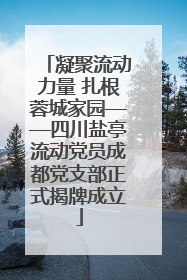 凝聚流动力量 扎根蓉城家园——四川盐亭流动党员成都党支部正式揭牌成立